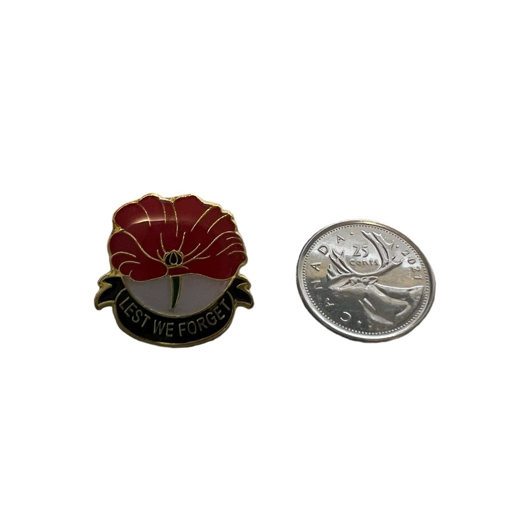 🆕 A pin - Lest we forget   Great for Remembrance Day
